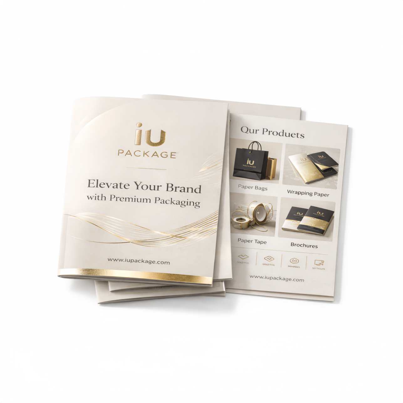 Brochure and Flyer