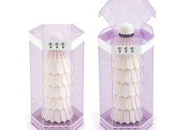 Custom Clear Plastic Packaging PET Transparent Display Box