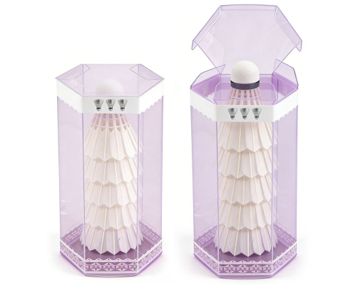 Custom Clear Plastic Packaging PET Transparent Display Box