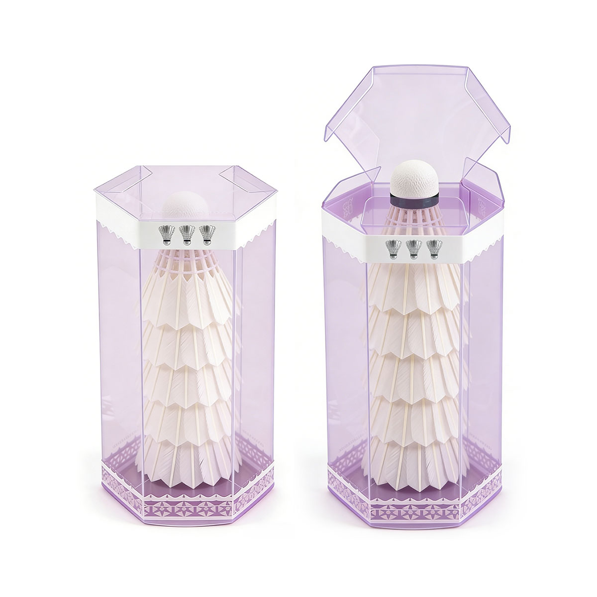 Custom Clear Plastic Packaging PET Transparent Display Box