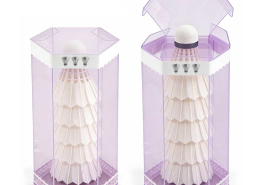 Custom Clear Plastic Packaging PET Transparent Display Box