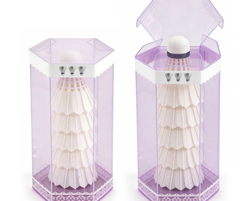 Custom Clear Plastic Packaging PET Transparent Display Box