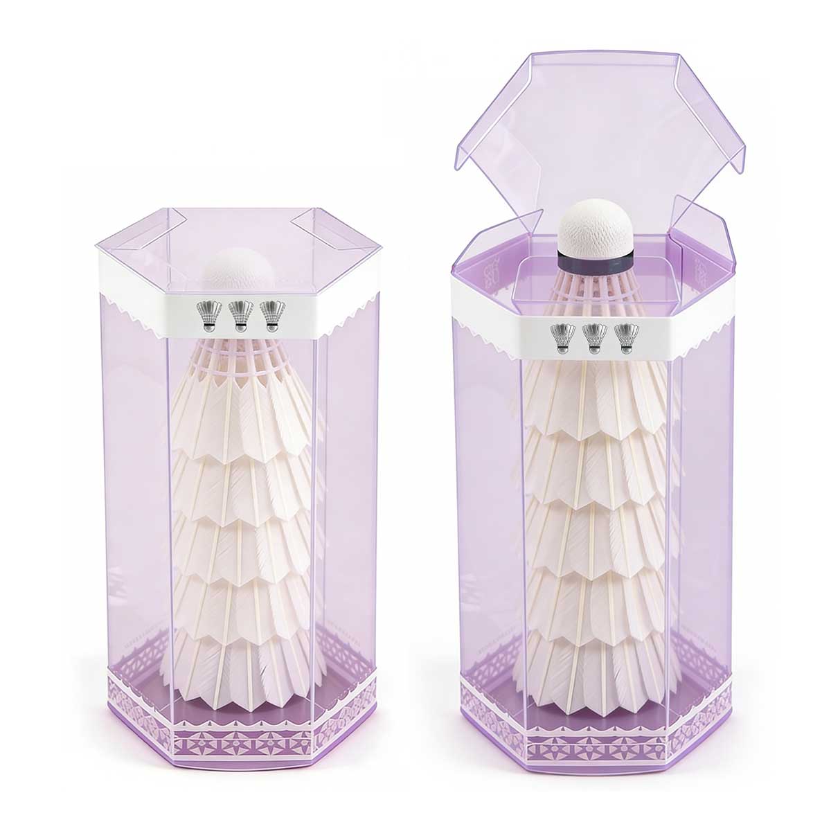 Custom Clear Plastic Packaging PET Transparent Display Box