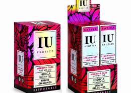 E-cigarette box